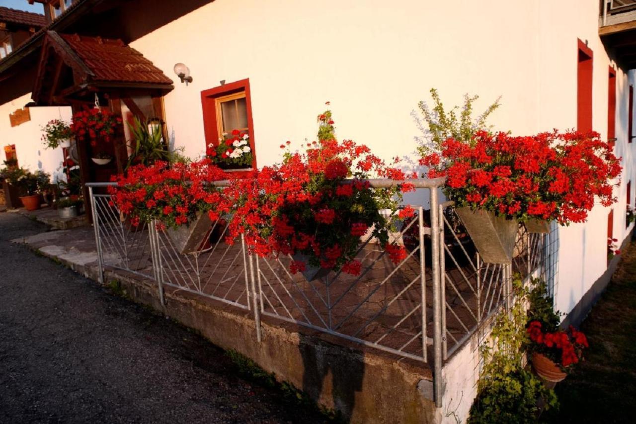 Ferienwohnung Mirtei Hohenau 外观 照片